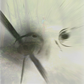 How We Live is How We Die