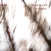 Sketches Of The Forest
