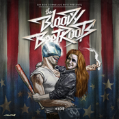 The Bloody Beetroots: HIDE