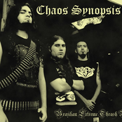 chaos synopsis