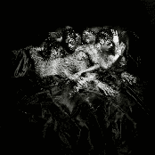 Teezo Touchdown: How Do You Sleep at Night?