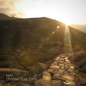 Choose Your Path
