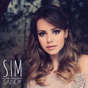 Sandy: Sim