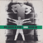 In Vitro / Suba Within Us