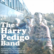 The Harry Pedigo Band