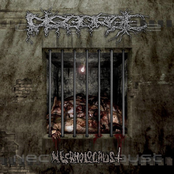 Sodomic Baptism by Disgorge