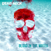 Blood In The Water