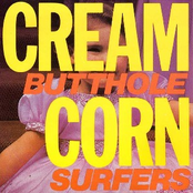 To Parter by Butthole Surfers