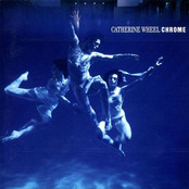 Show Me Mary by Catherine Wheel