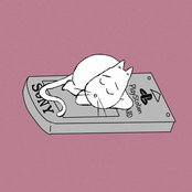 memory card