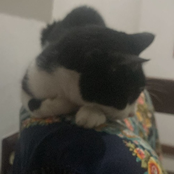 carta aberta á lionel messi