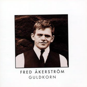 guldkorn