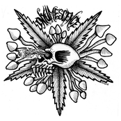 Double bill massacre