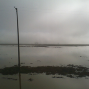 Good Luck, Summerduck