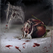 Когда розы стали пеплом