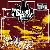 Street Flava 2nd Avenue