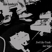 Jam Sandwich: Feel Like Trash / Got Soul