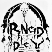 Rancid Decay / Mr. Bungle