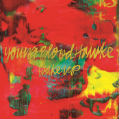 Blackbeak by Youngblood Hawke