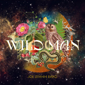 Joe Stamm Band: Wild Man