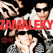 Zamaleky