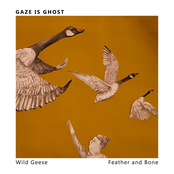 Wild Geese/ Feather and Bone