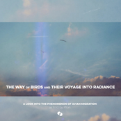 The Way Of Birds And Their Voyage Into Radiance