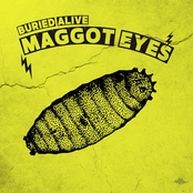 Maggot Eyes