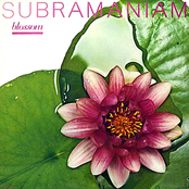 Blossom by L. Subramaniam