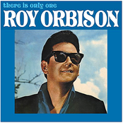Sugar And Honey by Roy Orbison