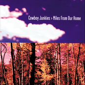 Hollow As A Bone by Cowboy Junkies