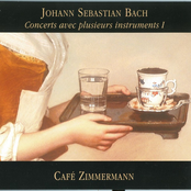 Bach: Concerts avec plusieurs instruments I