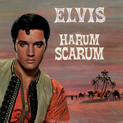 Harum Scarum