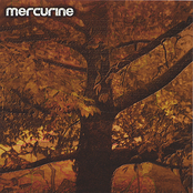Nu Groove by Mercurine