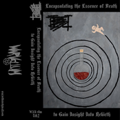 Encapsulating the Essence of Death to Gain Insight into Rebirth