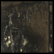 Orgonon Pit