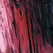 Intensely Distressed and on the Verge of Mental Collapse