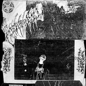 perpetuating the law