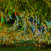 D. Karnauhov / I. Sandakov