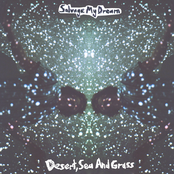 Desert, Sea And Grass