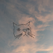 it's not just the fog either