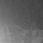 Til Dodens Vinter Alltid...