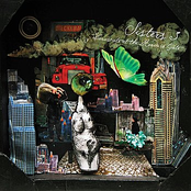 Coruscate at the Meadow Gate