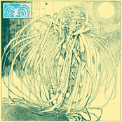 Chlorophytum EP