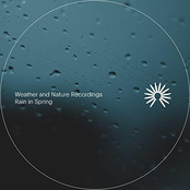 Rain in Spring