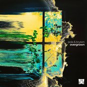 Album art for Pola & Bryson - Overgrown
