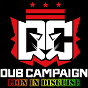 Lion in Disguise