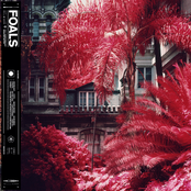 Foals: Part 1 Everything Not Saved Will Be Lost