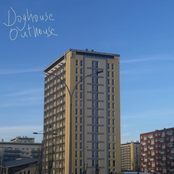 A Year They Said - Single