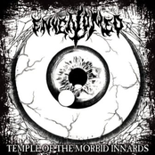 Temples of the Morbid Innards